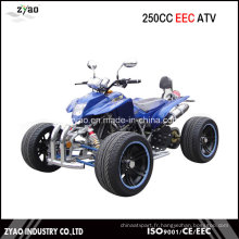 250cc EEC Racing ATV avec 14 pouces en alliage de roue en alliage de bras légale sur la route